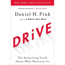 Drive: The Surprising Truth about What Motivates Us