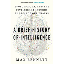 A Brief History of Intelligence: Evolution, Ai, and the Five Breakthroughs That Made Our Brains