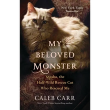 My Beloved Monster: Masha, the Half-Wild Rescue Cat Who Rescued Me