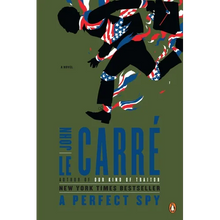 A Perfect Spy