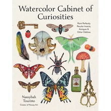 Watercolor Cabinet of Curiosities: Paint Perfectly Peculiar Insects, Antiques & Other Oddities