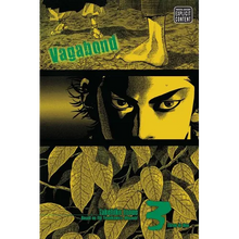 Vagabond (Vizbig Edition), Vol. 3