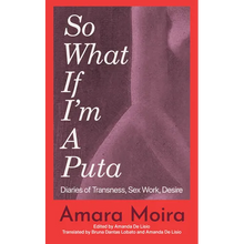 (So What) If I'm a Puta?: Diaries of Transness, Sex Work, Desire