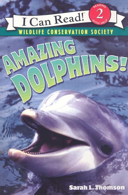 Amazing Dolphins!
