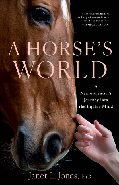 A Horse's World: A Neuroscientist's Journey Into the Equine Mind