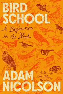 Bird School: A Beginner in the Wood
