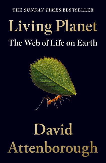 A Peterson Field Guide to Stars and Planets