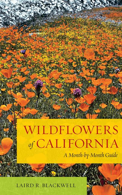 Wildflowers of California: A Month-By-Month Guide