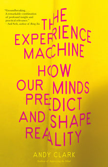 The Experience Machine: How Our Minds Predict and Shape Reality