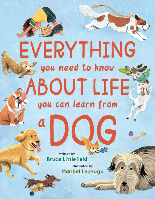 Everything You Need to Know about Life You Can Learn from a Dog