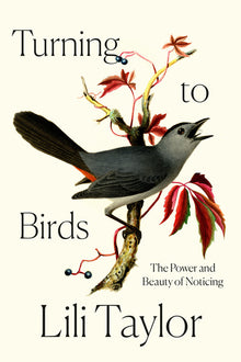 Turning to Birds: The Power and Beauty of Noticing