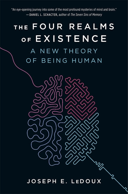 The Four Realms of Existence: A New Theory of Being Human
