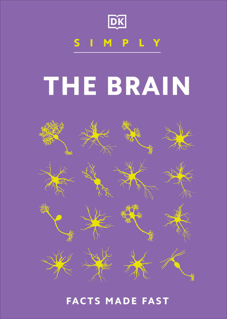Simply the Brain