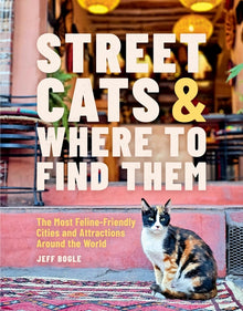 Street Cats & Where to Find Them: The Most Feline-Friendly Cities and Attractions Around the World