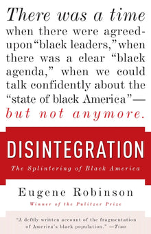 Disintegration: The Splintering of Black America