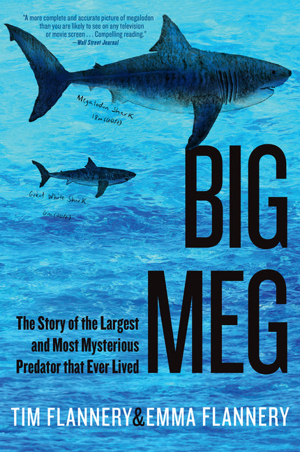 Big Meg: The Story of the Largest and Most Mysterious Predator That Ever Lived