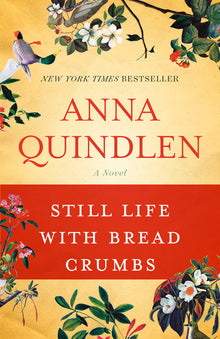 Still Life with Bread Crumbs: Still Life with Bread Crumbs: A Novel