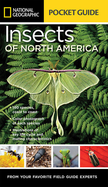 National Geographic Pocket Guide to Insects of North America: From Your Favorite Field Guide Experts