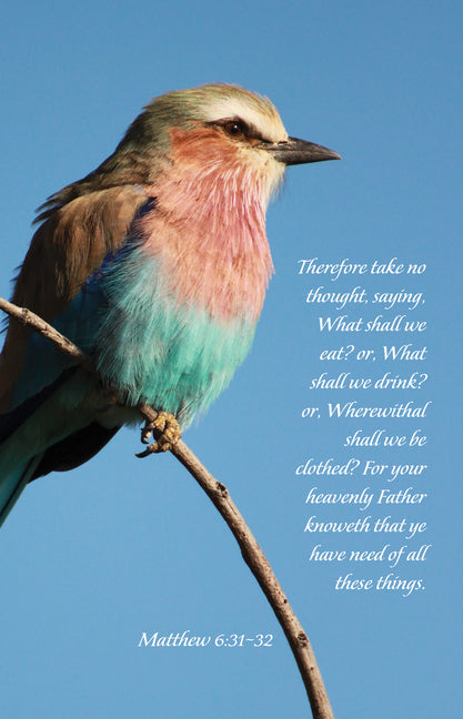 General Worship Bulletin: Your Heavenly Father Knoweth (Package of 100): Matthew 6:31-32 (Kjv)
