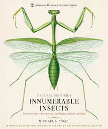 Innumerable Insects: The Story of the Most Diverse and Myriad Animals on Earth
