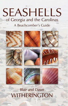 Rockhounding for Beginners: Your Comprehensive Guide to Finding and Collecting Precious Minerals, Gems, Geodes, & More