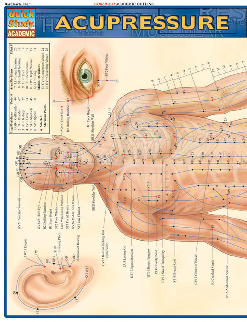 Acupressure: Laminated Reference Guide (Quickstudy Academic)
