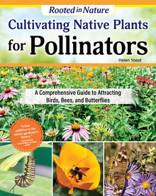 Cultivating Native Plants for Pollinators: A Comprehensive Guide to Attracting Birds, Bees, and Butterflies