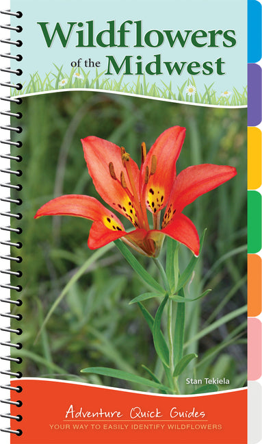 Wildflowers of the Midwest: Your Way to Easily Identify Wildflowers