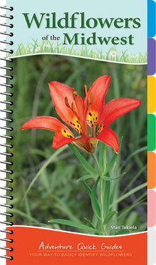 Wildflowers of the Midwest: Your Way to Easily Identify Wildflowers