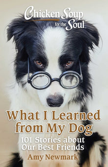 Chicken Soup for the Soul: What I Learned from My Dog: 101 Stories about Our Best Friends