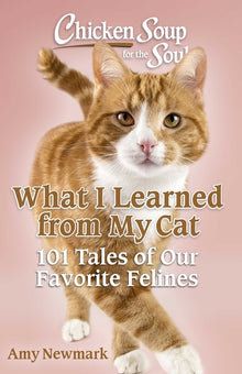 Chicken Soup for the Soul: What I Learned from My Cat: 101 Tales of Our Favorite Felines