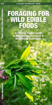 Foraging for Wild Edible Foods: A Folding Pocket Guide to Sustainable Practices & Harvesting Techniques