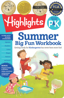 Summer Big Fun Workbook Bridging Grades P & K: Prep for Kindergarten Summer Activity Book, Prek to Kindergarten Summer Workbook with Alphabet, Numbers