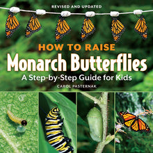 How to Raise Monarch Butterflies: A Step-By-Step Guide for Kids