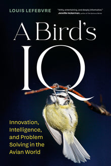 A Bird's IQ: Innovation, Intelligence, and Problem Solving in the Avian World