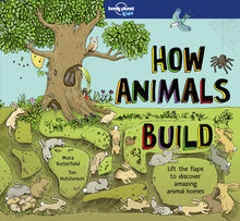 Lonely Planet Kids How Animals Build: Lift the Flaps & Discover Amazing Creature Homes Explore Bird Nests, Ant Colonies, Spider Webs Beautiful Illustr