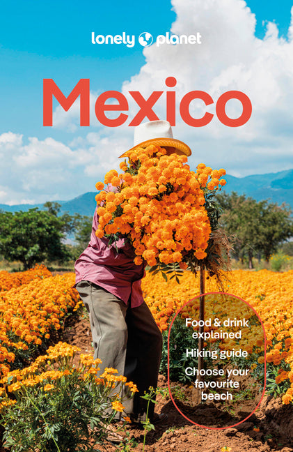 Lonely Planet Mexico: Plan the Trip of a Lifetime Detailed Itineraries & Maps Insider Tips Covers Etulum, Oaxaca, Copper Canyon and More