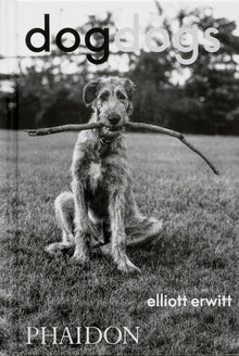 Dogdogs