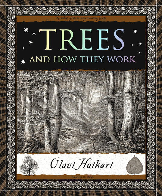 Trees and How They Work