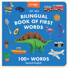 My Big Bilingual Book of First Words: 100+ English-Spanish Words for Animals, Foods, Vehicles, Planets, and More!