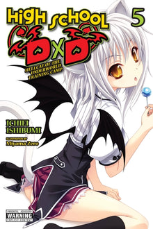 High School DXD, Vol. 5 (Light Novel): Hellcat of the Underworld Training Camp Volume 5
