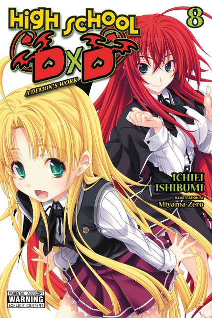 High School DXD, Vol. 8 (Light Novel): A Demon's Work Volume 8
