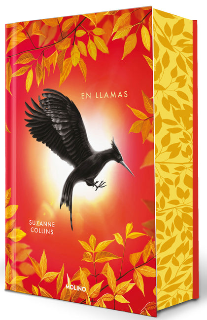 En Llamas (Ediciã3n Especial Cantos Pintados) / Catching Fire (Special Edition Sprayed Edges)