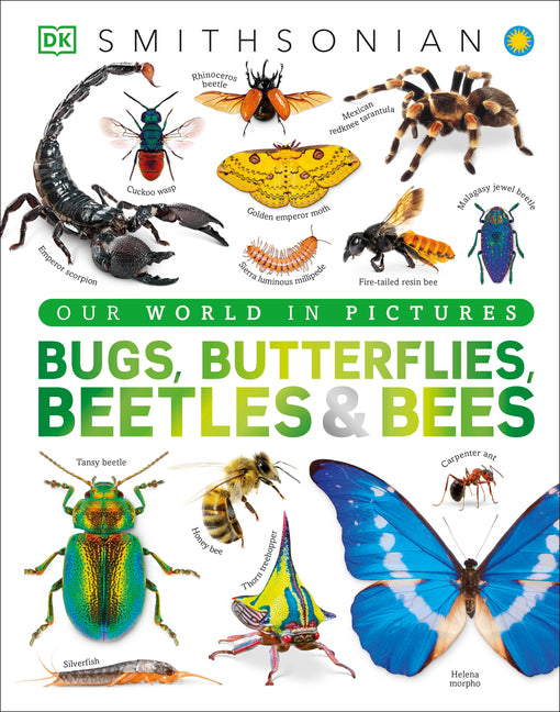 Bugs, Butterflies, Beetles and Bees: A Visual Bug and Insect Encyclopedia for Kids