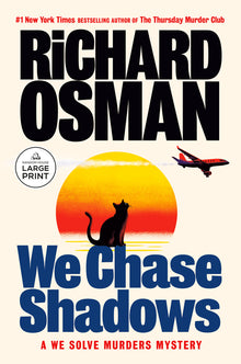 We Chase Shadows: A We Solve Murders Mystery