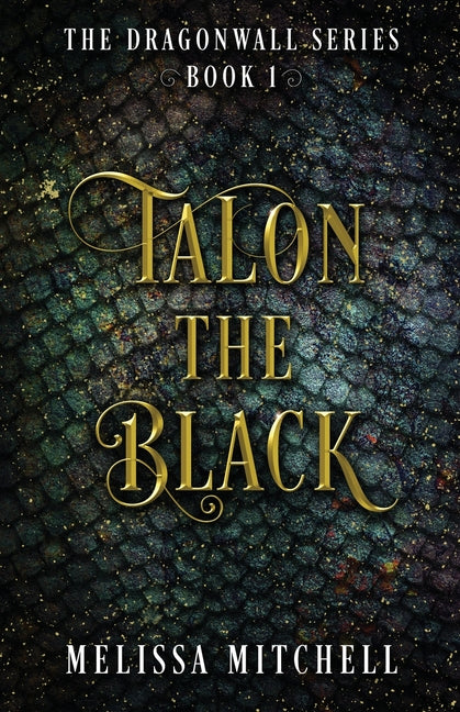 Talon the Black: A Slow Burn Fantasy Series