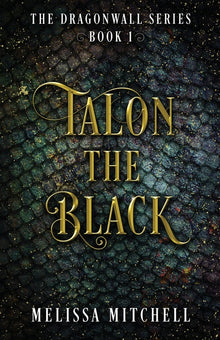 Talon the Black: A Slow Burn Fantasy Series