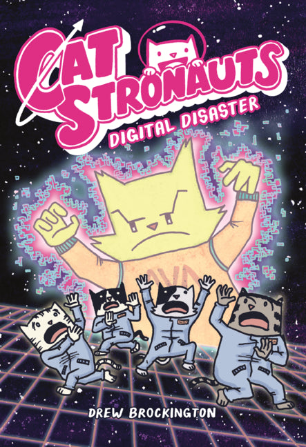 Digital Disaster