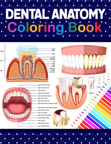 Dental Anatomy Coloring Book: Learn the Basics of Dental Anatomy. Dental Anatomy Coloring Book for Cute Children's, Kids, Boys, Girls, Dental Assistan