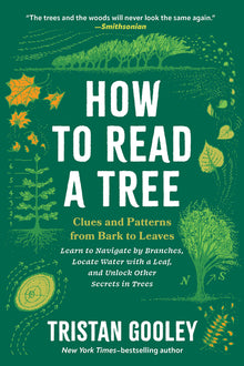 How to Read a Tree: Clues and Patterns from Bark to Leaves